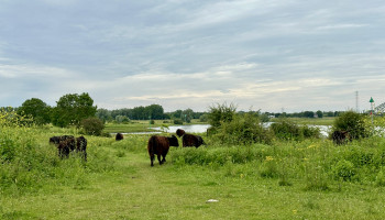 Buiten bij de Leeffabriek